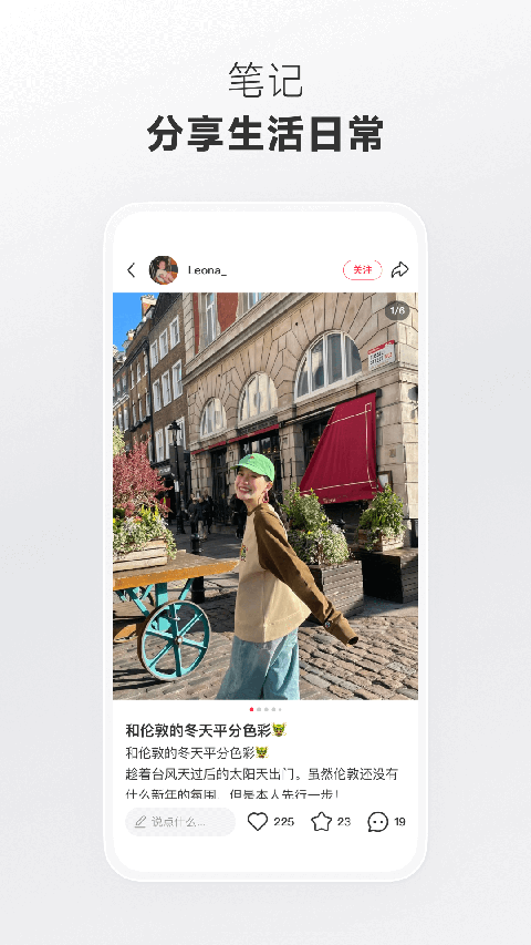 斑马条纹吸光折射彩虹桥壁纸